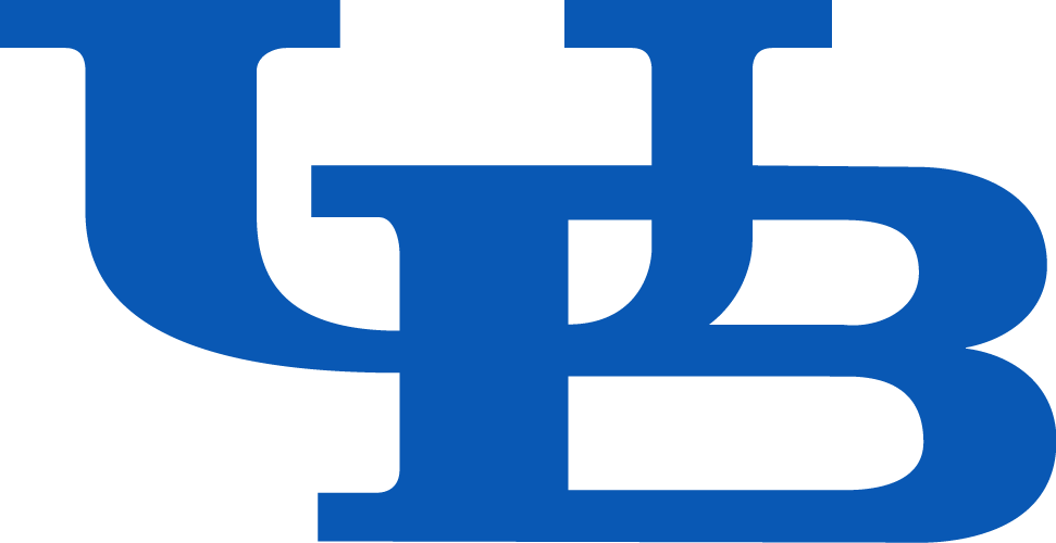 Buffalo Bulls 2016-Pres Primary Logo diy DTF decal sticker